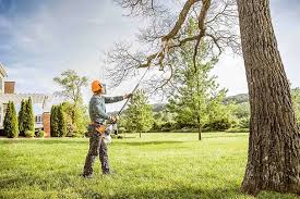 Trusted Susquehanna Trails, PA  Tree Services Experts